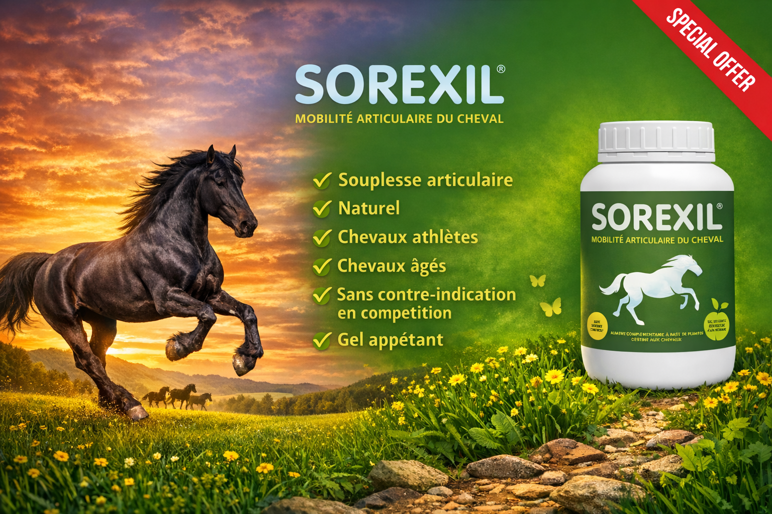 Présentation produit sorexil